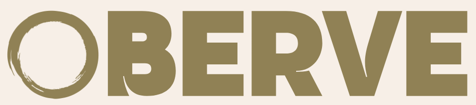 Oberve Logo